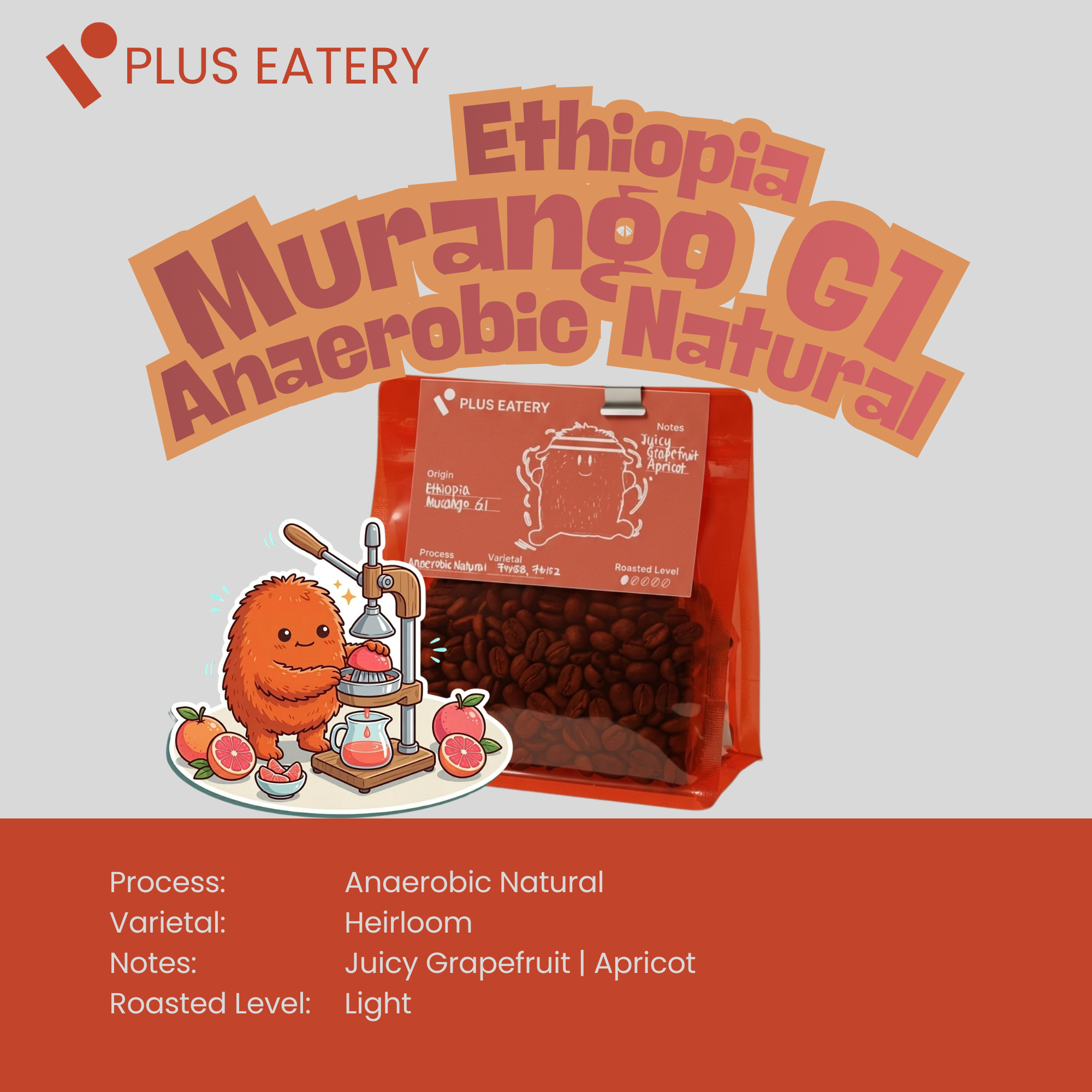 Ethiopia Murango G1 Coffee Beans