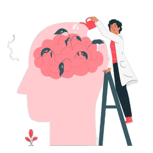 Sesión Inicial de Valoración (30 minutos)