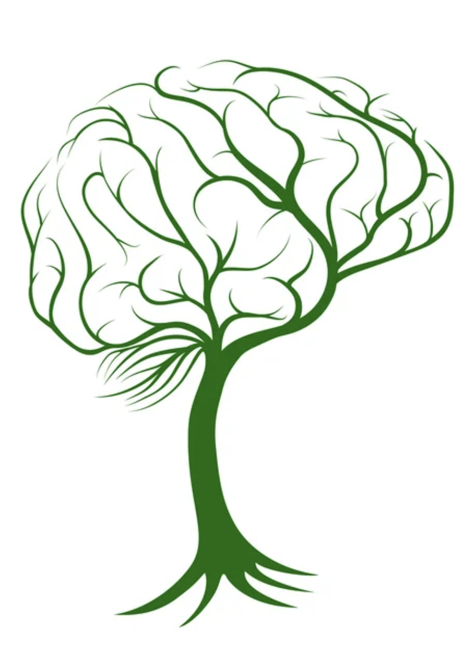 Sección inicial de valoración 