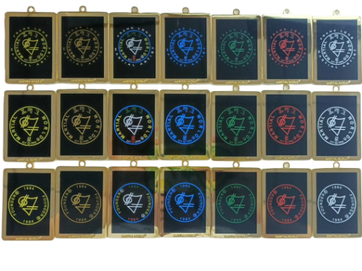 17 - Logo Metal Keyring Holder/Pendant