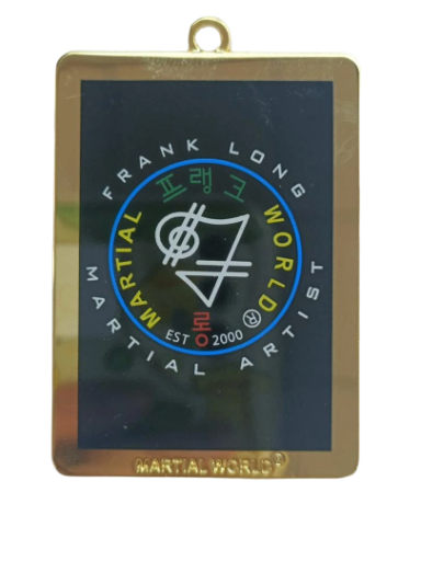 17 - Logo Metal Keyring Holder/Pendant