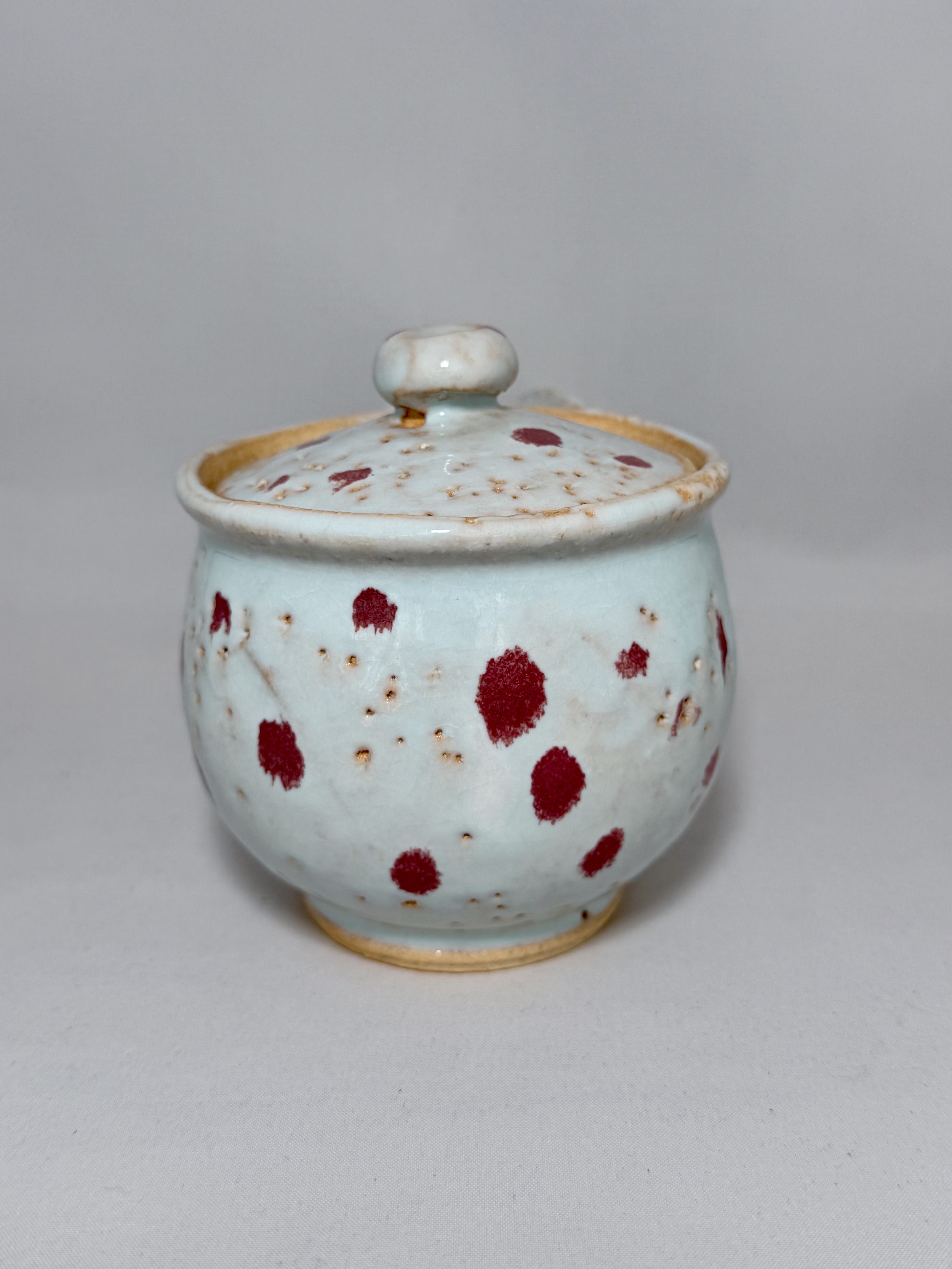 Ceramic Teapot by Kunisuke Nakahara