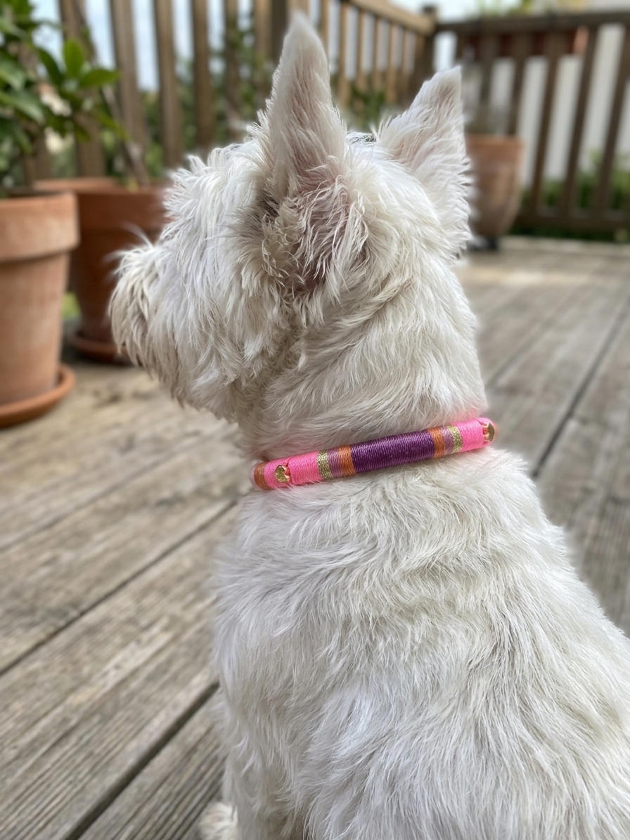 Collier bijou NINJA