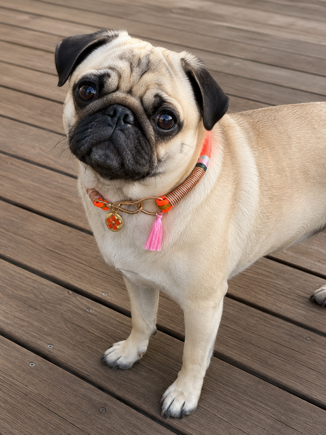 Collier bijou DOUG