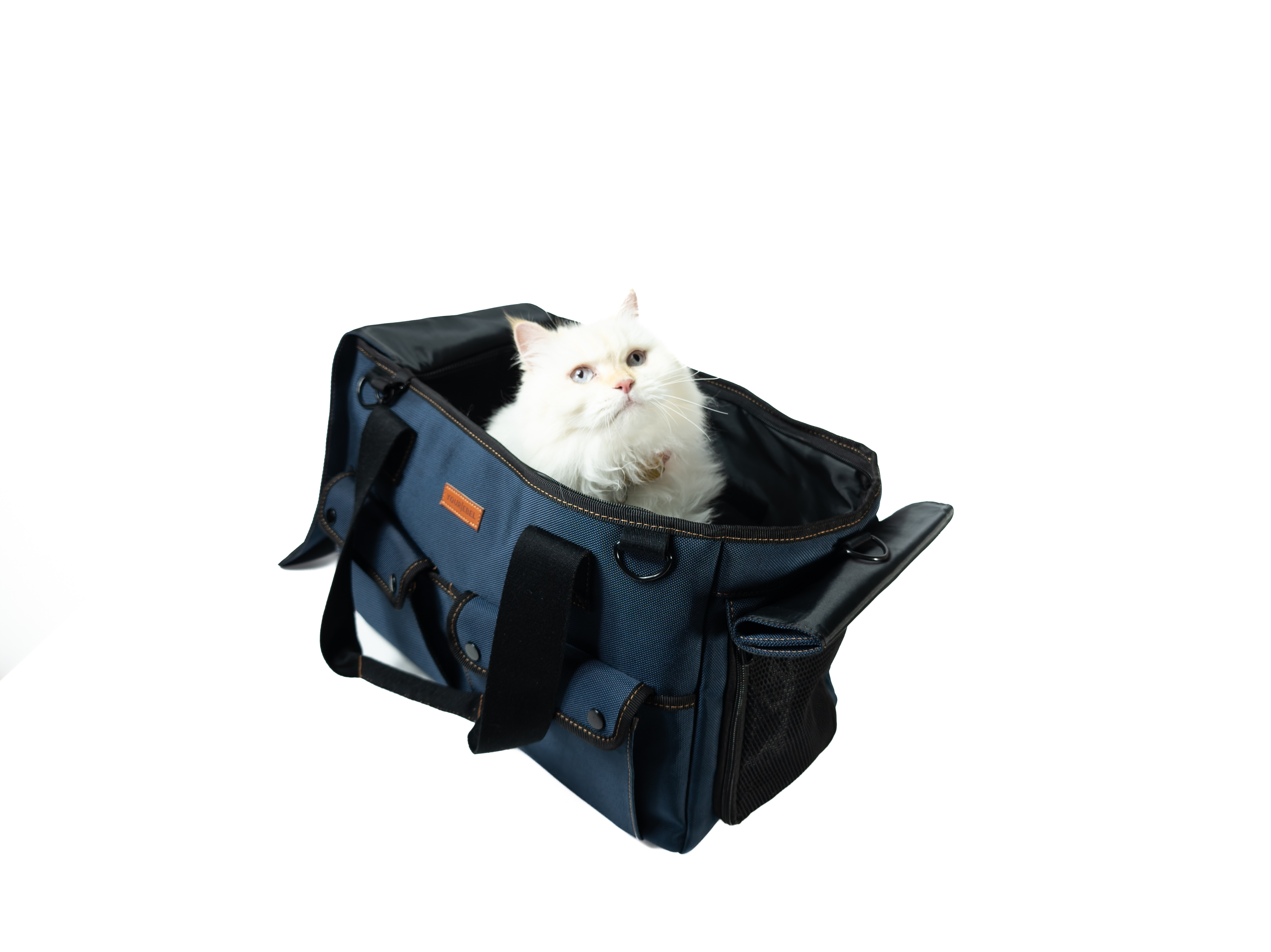 Paw Voyage — Classic Carry