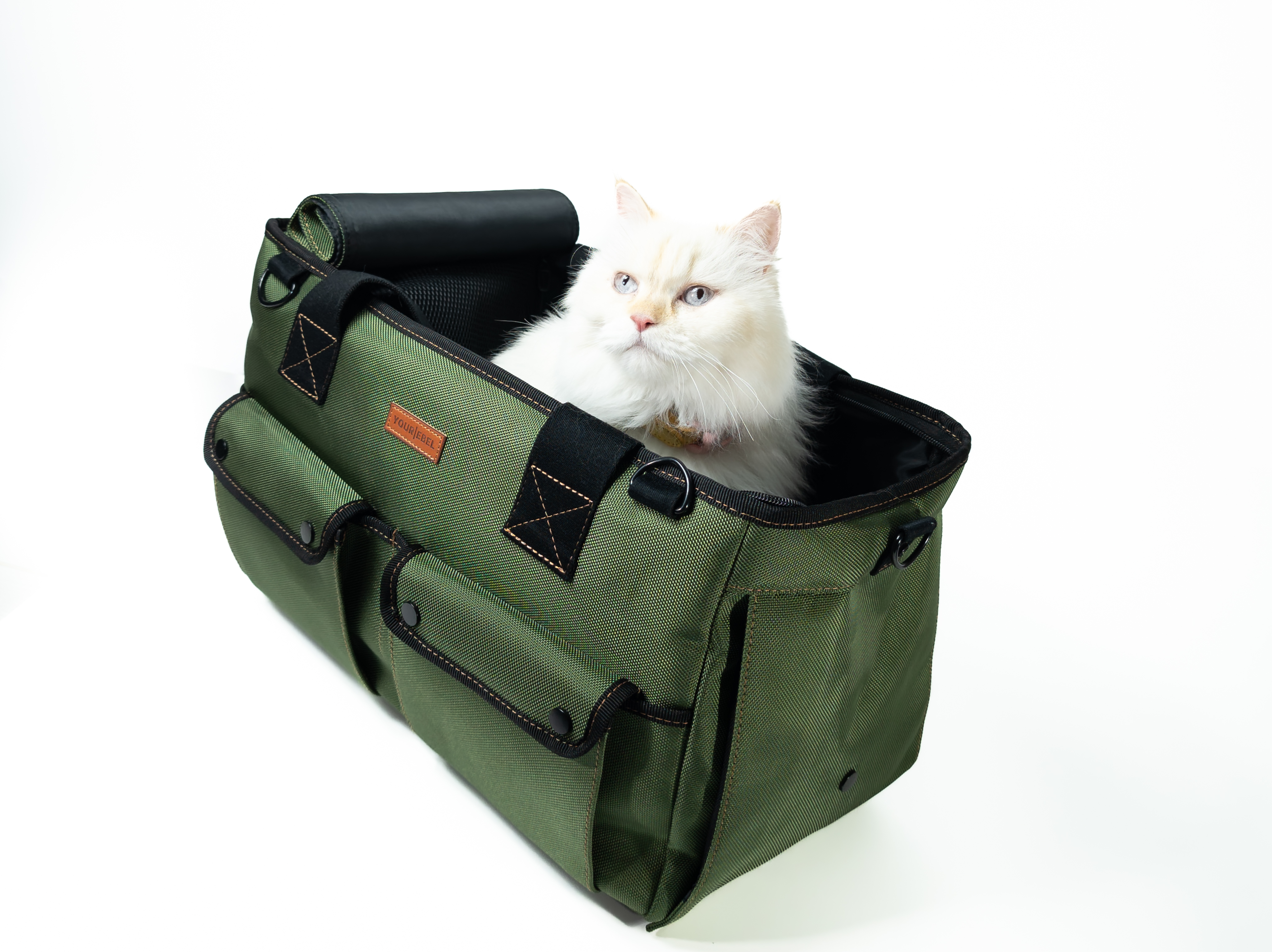 Paw Voyage — Classic Carry