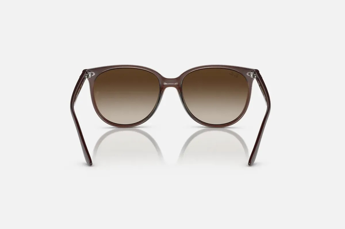 Óculos de Sol Ray-Ban Marrom