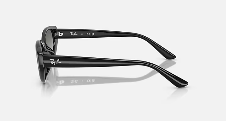 Óculos de Sol Ray-Ban Gatinho Preto