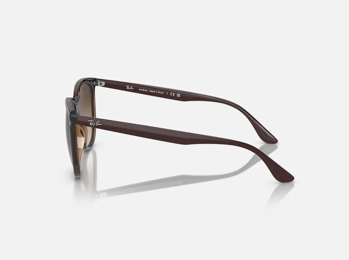 Óculos de Sol Ray-Ban Marrom