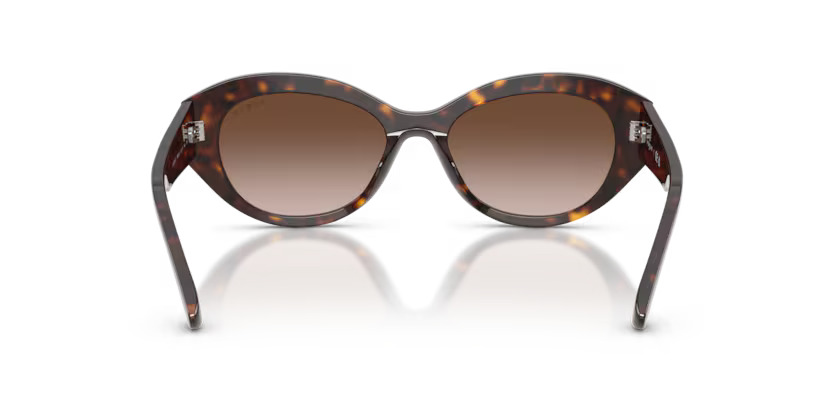 Óculos de Sol Vogue Havana Escuro