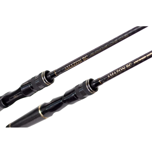 SNS Amazon Black Carbon