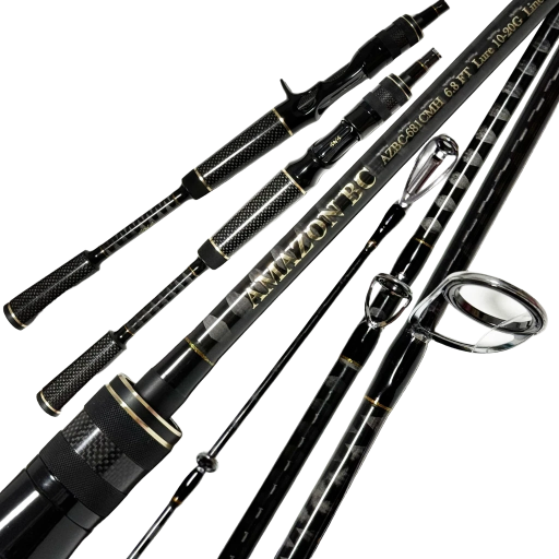 SNS Amazon Black Carbon