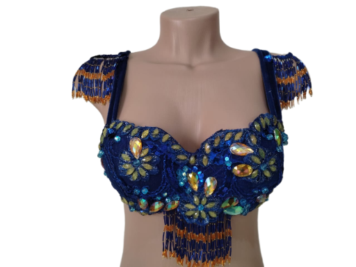 Traje de Dança do Ventre Azul Royal com Aplicações e Franjas 