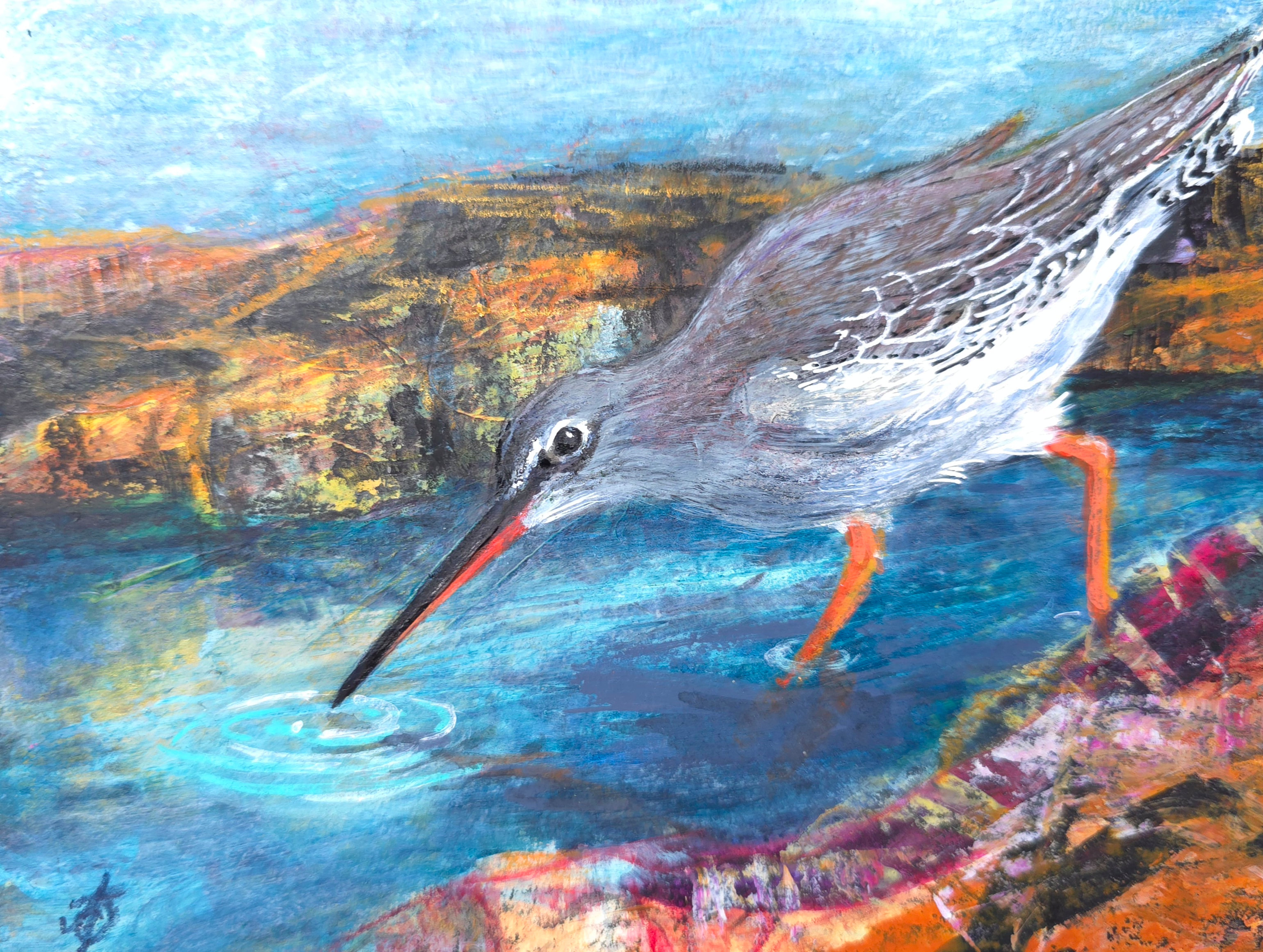 Gone Fishing - Redshank