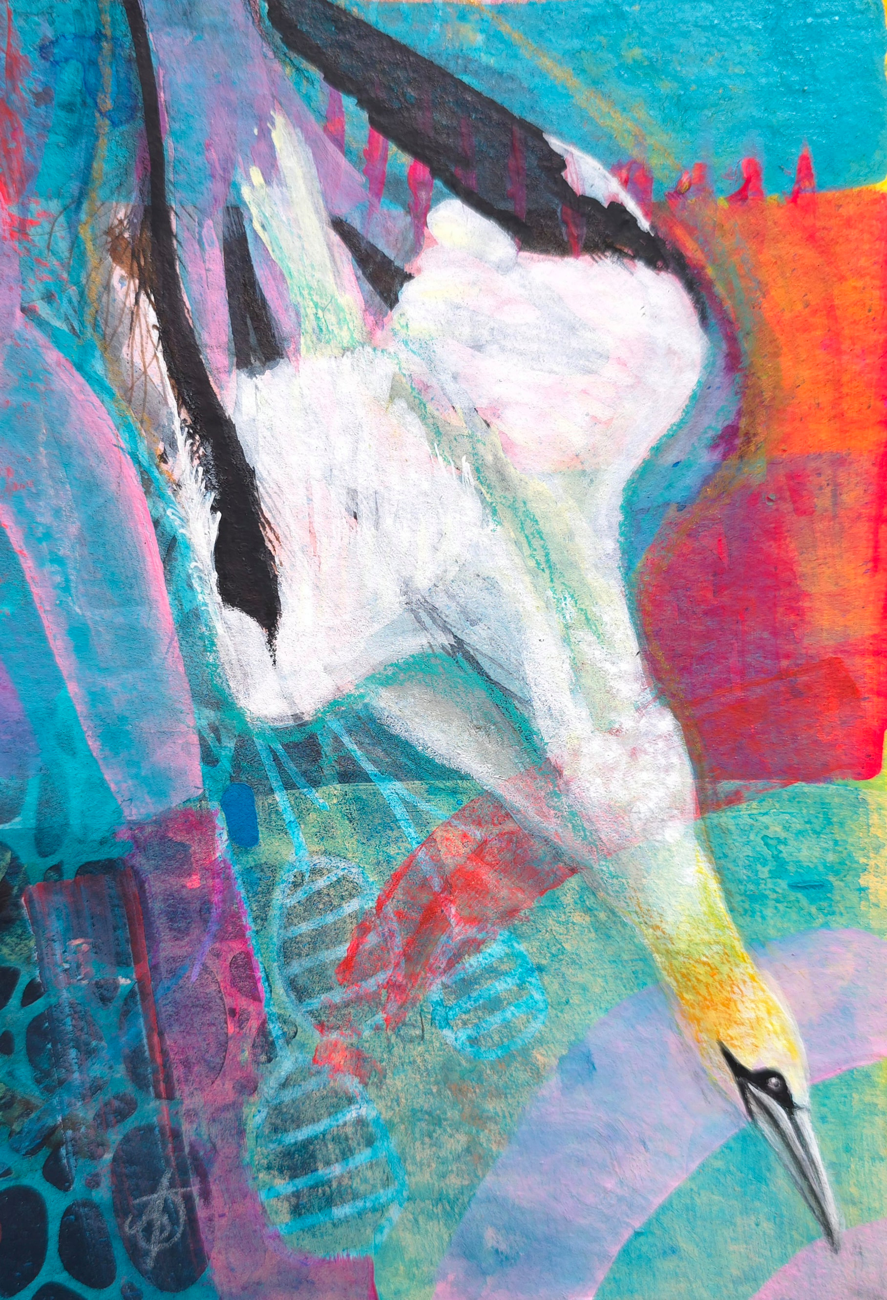 Point of Precision - Gannet