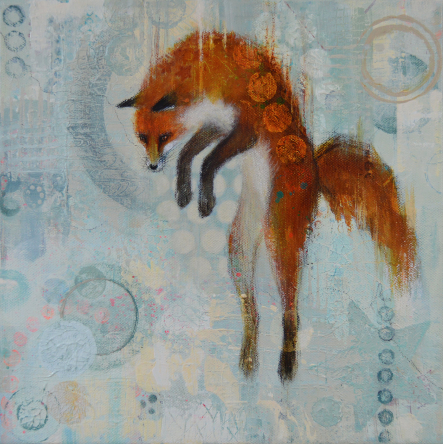 Point of Focus - fox