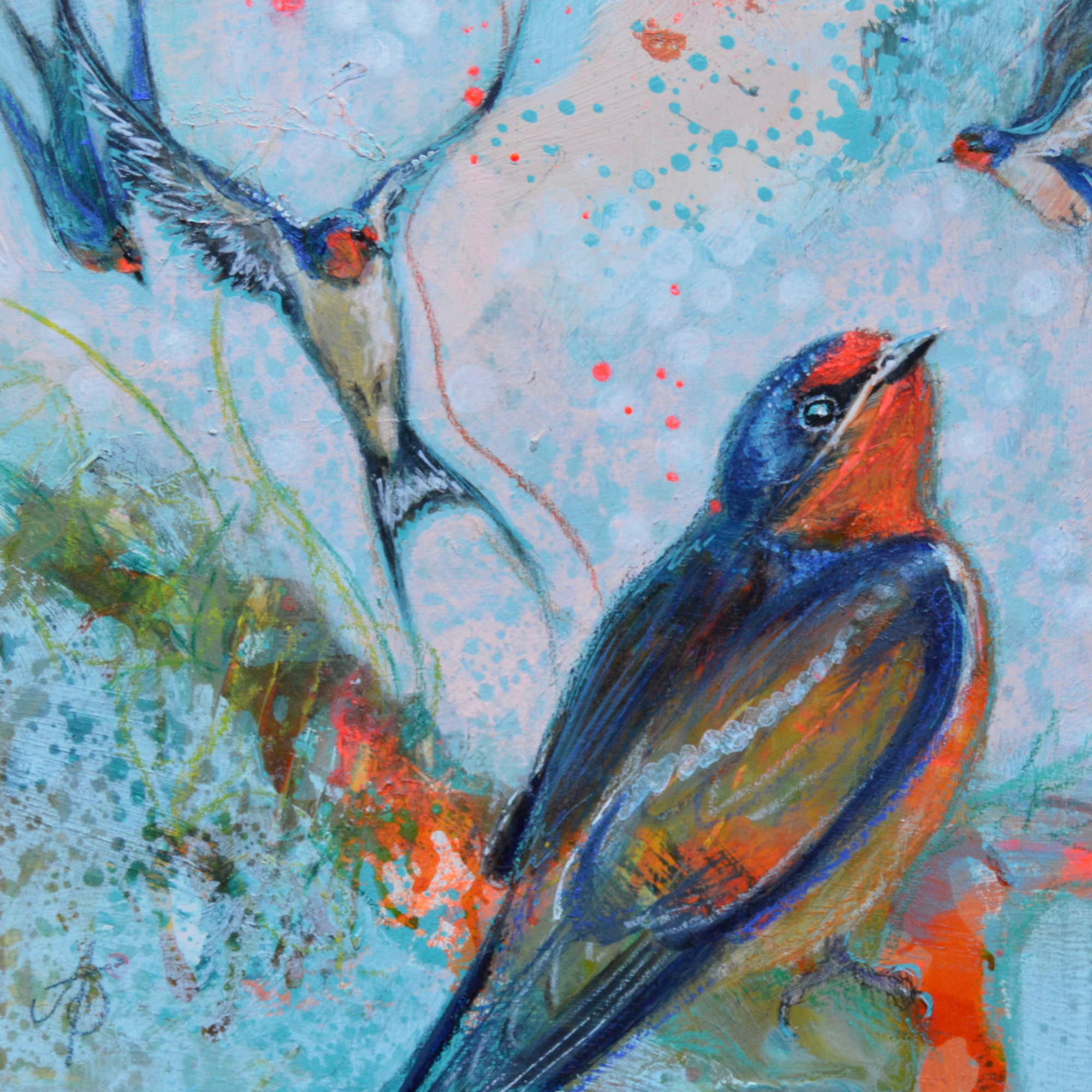 On A Wing and a Prayer - Swallows