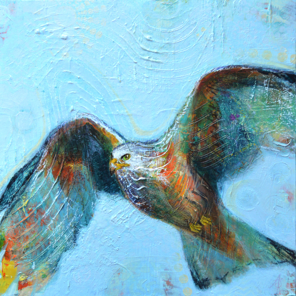 Back from the Brink - Red Kite