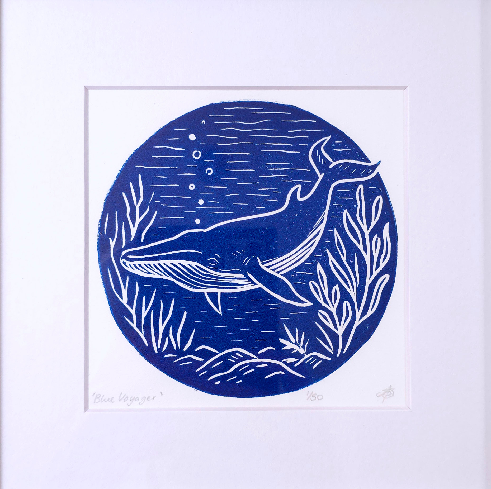 Blue Voyager Minke Whale Ltd Ed Linocut Print