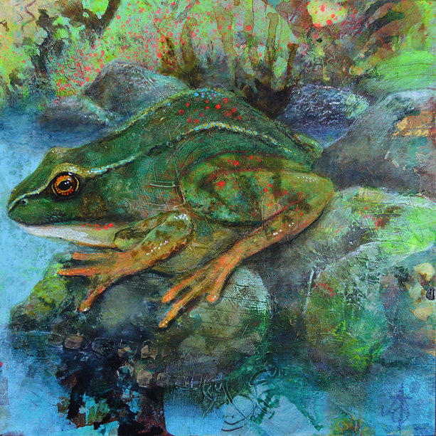 Flora & Fauna II - Frog