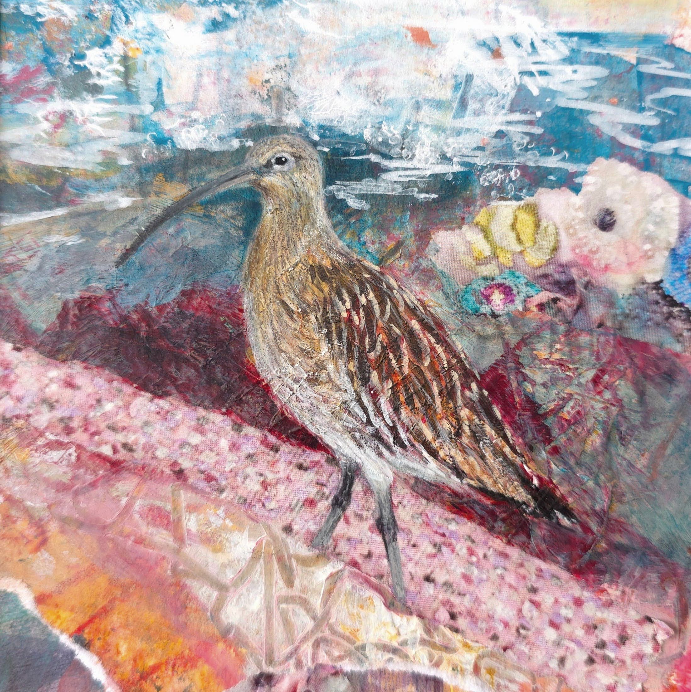 Treasure Hunter - Curlew