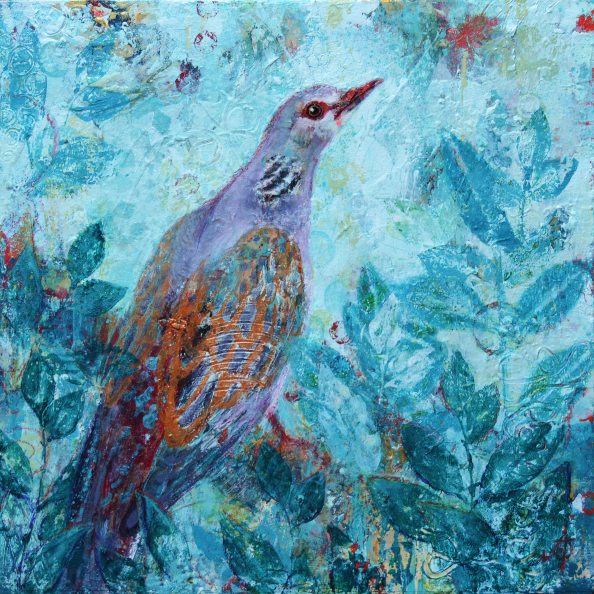 Just passing Through - Turtle Dove