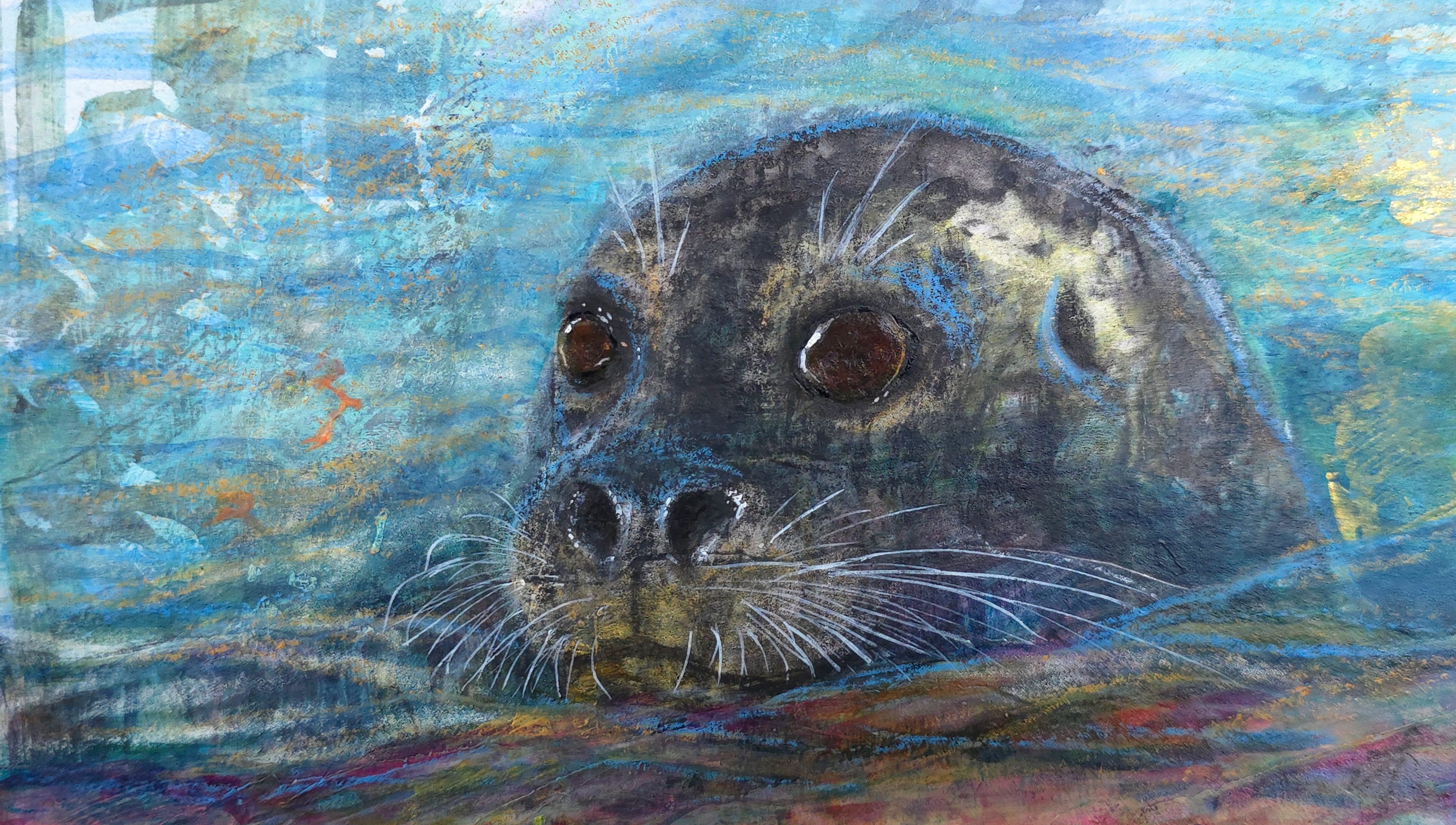 Curious Tide - Harbour Seal