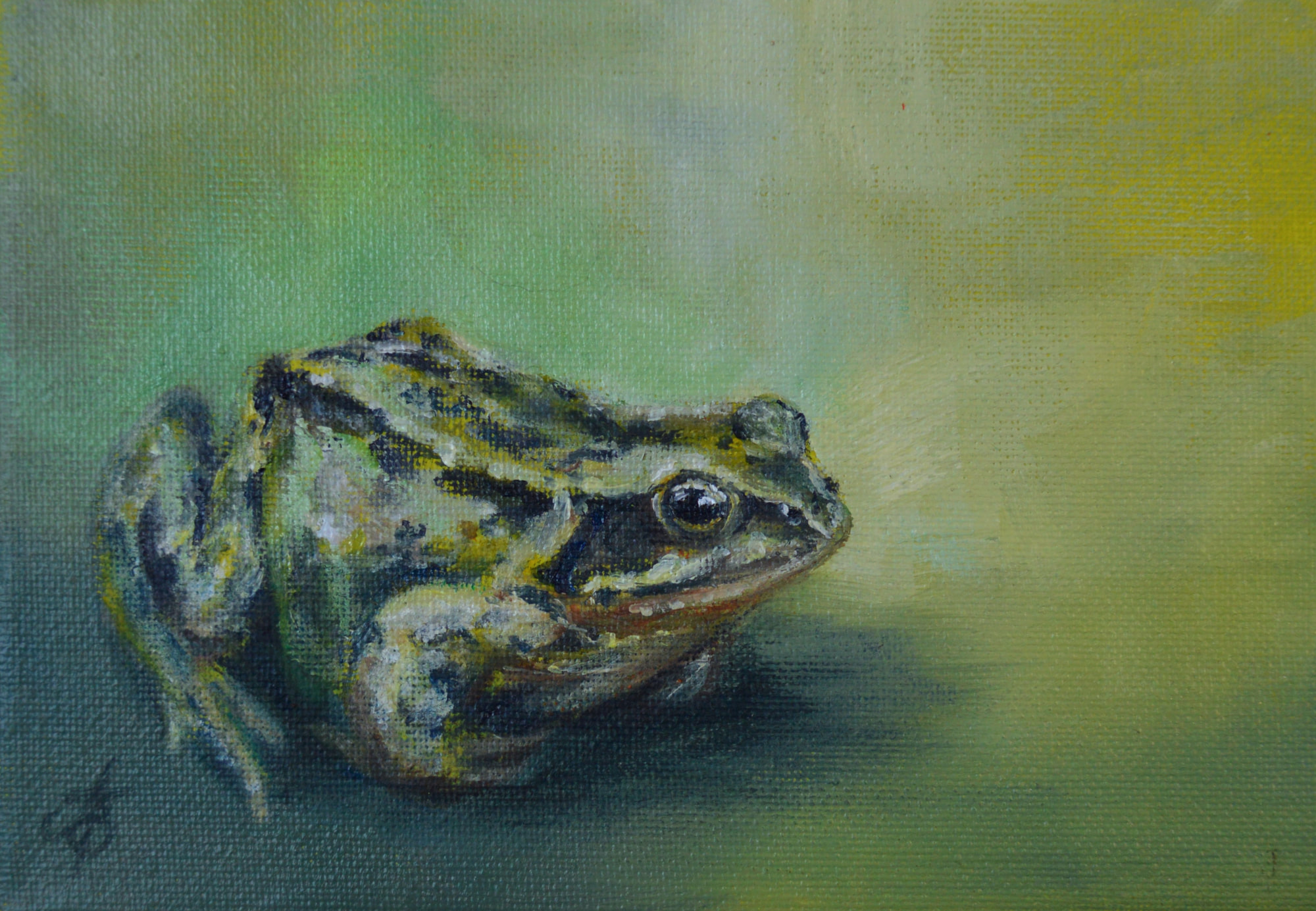 Frog Oil Painting
