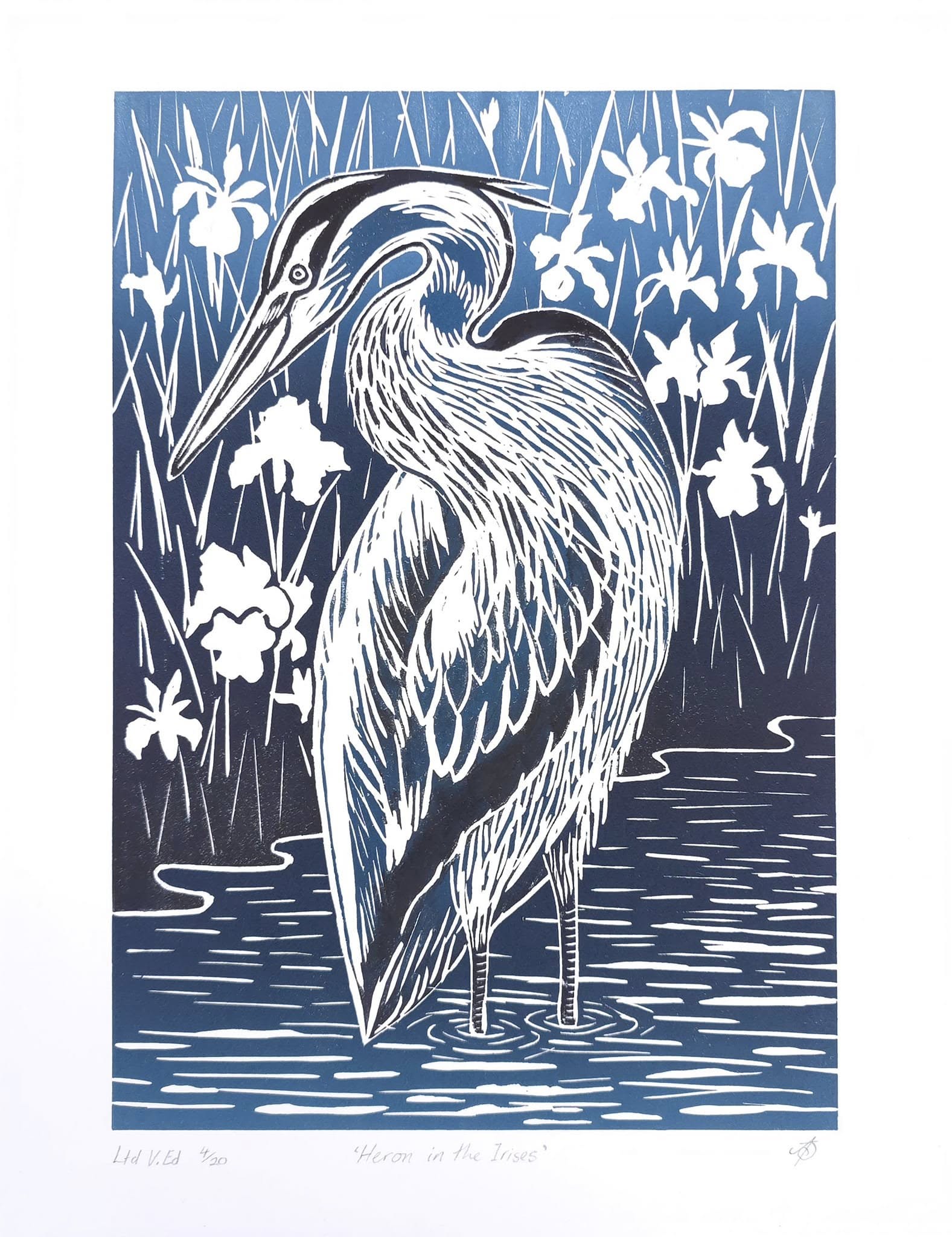 Heron in the Irises Ltd Ed Linocut Print