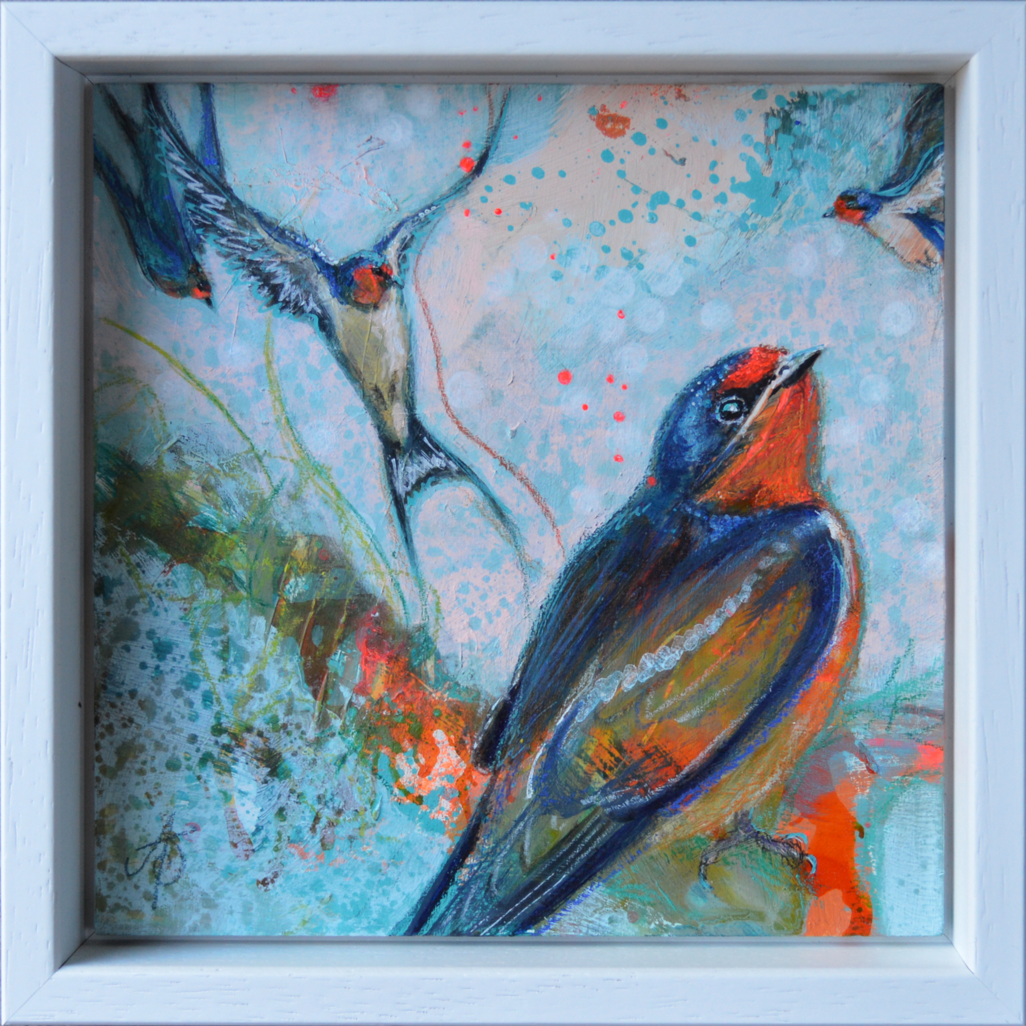 A Wing and a Prayer - Swallows