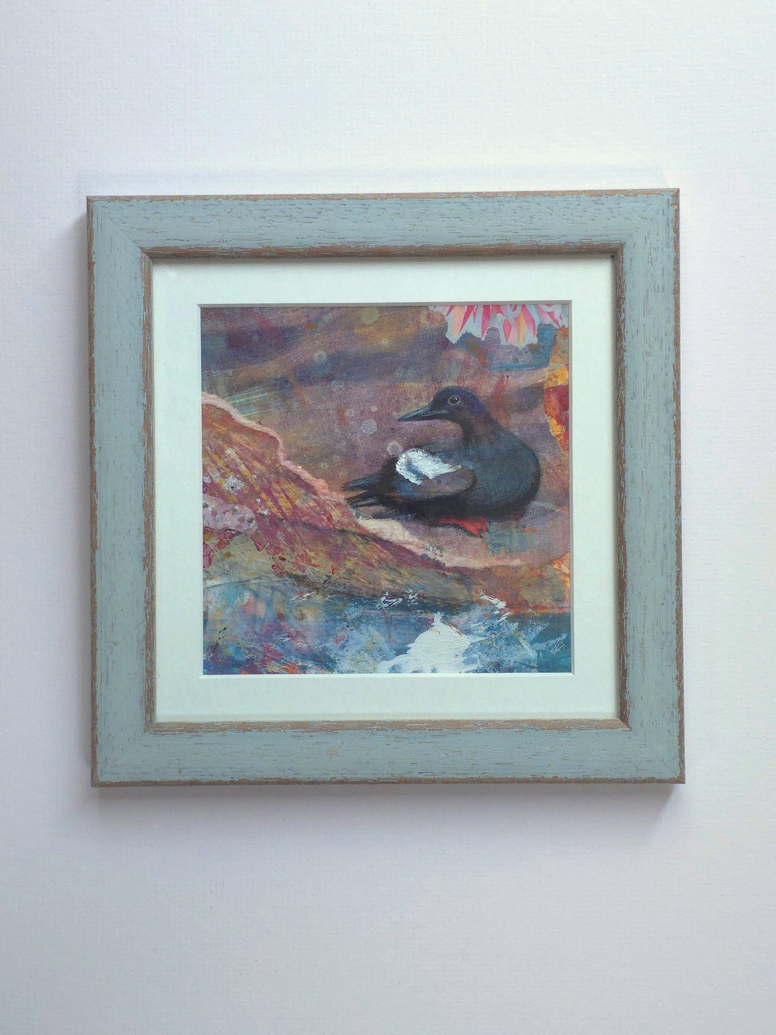 Above the Swell - Guillemot