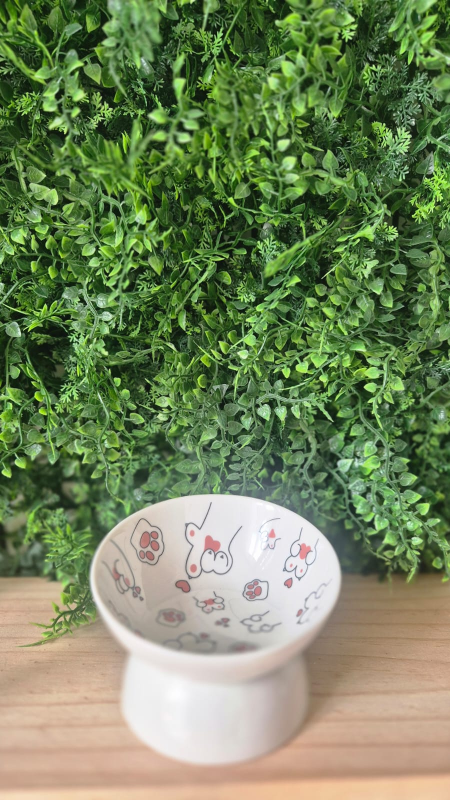 Plato elevado para mascota