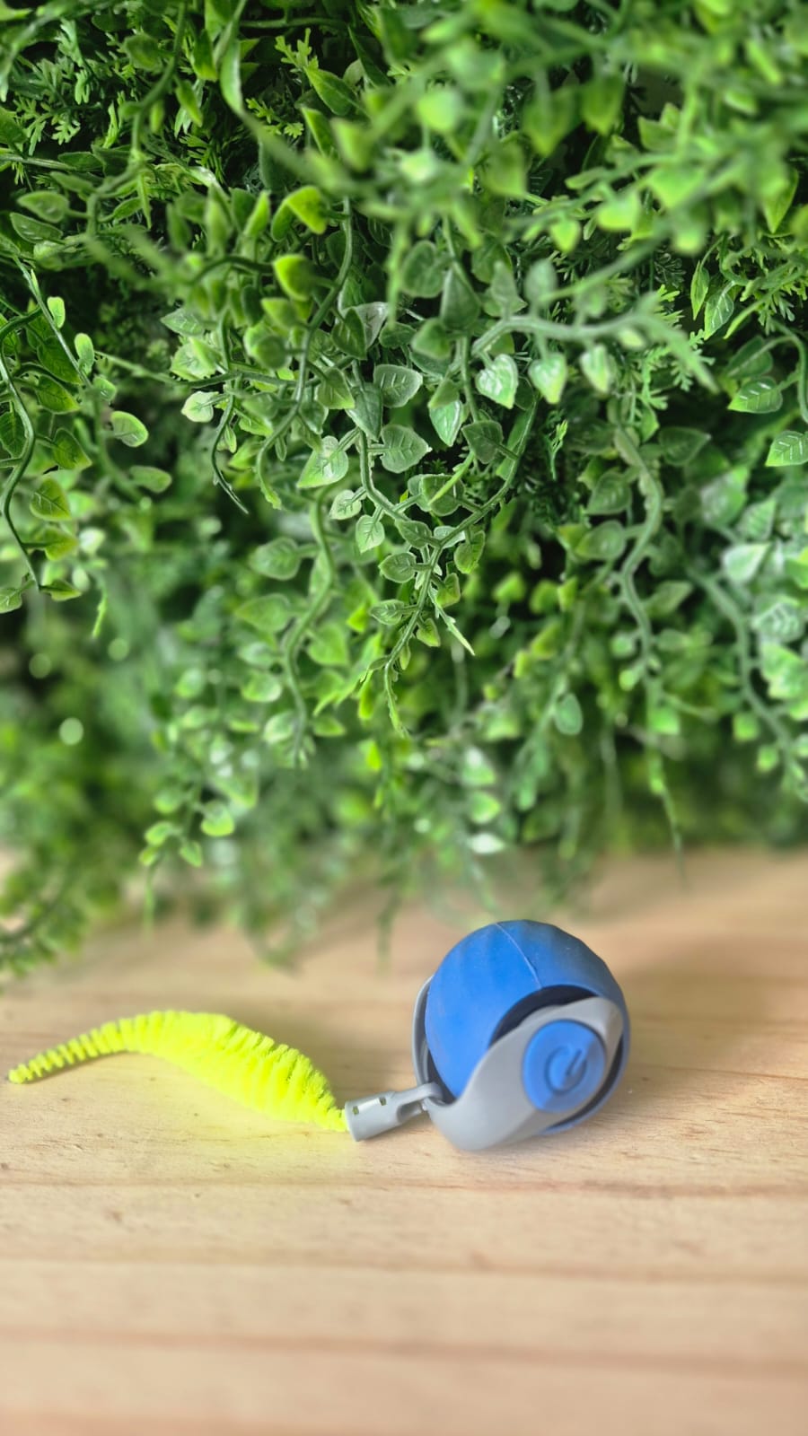 Juguete interactivo para gato