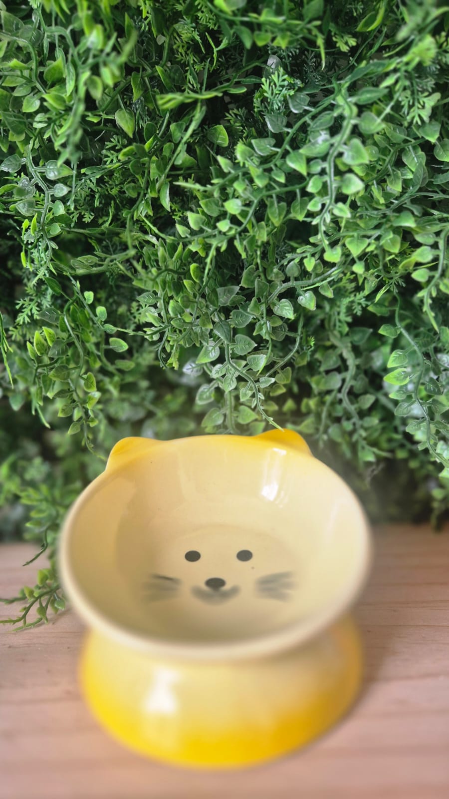 Plato para Mascotas Gatito