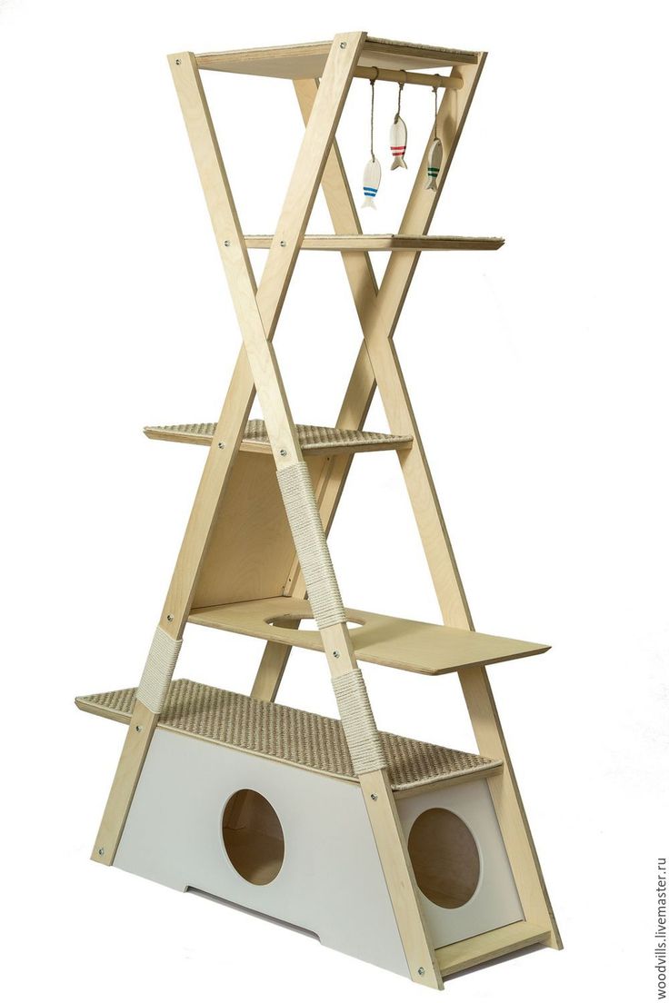 Gimnasio minimalista