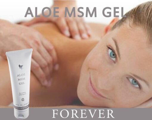 Gel Aloe MSM