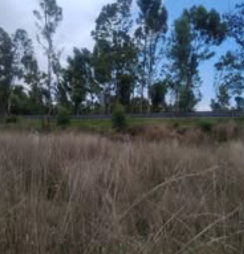 Terreno en Zona Aeropuerto de Huejotzingo, Puebla