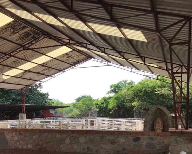 Venta de Rancho "El Bridón" Tetelilla, Morelos