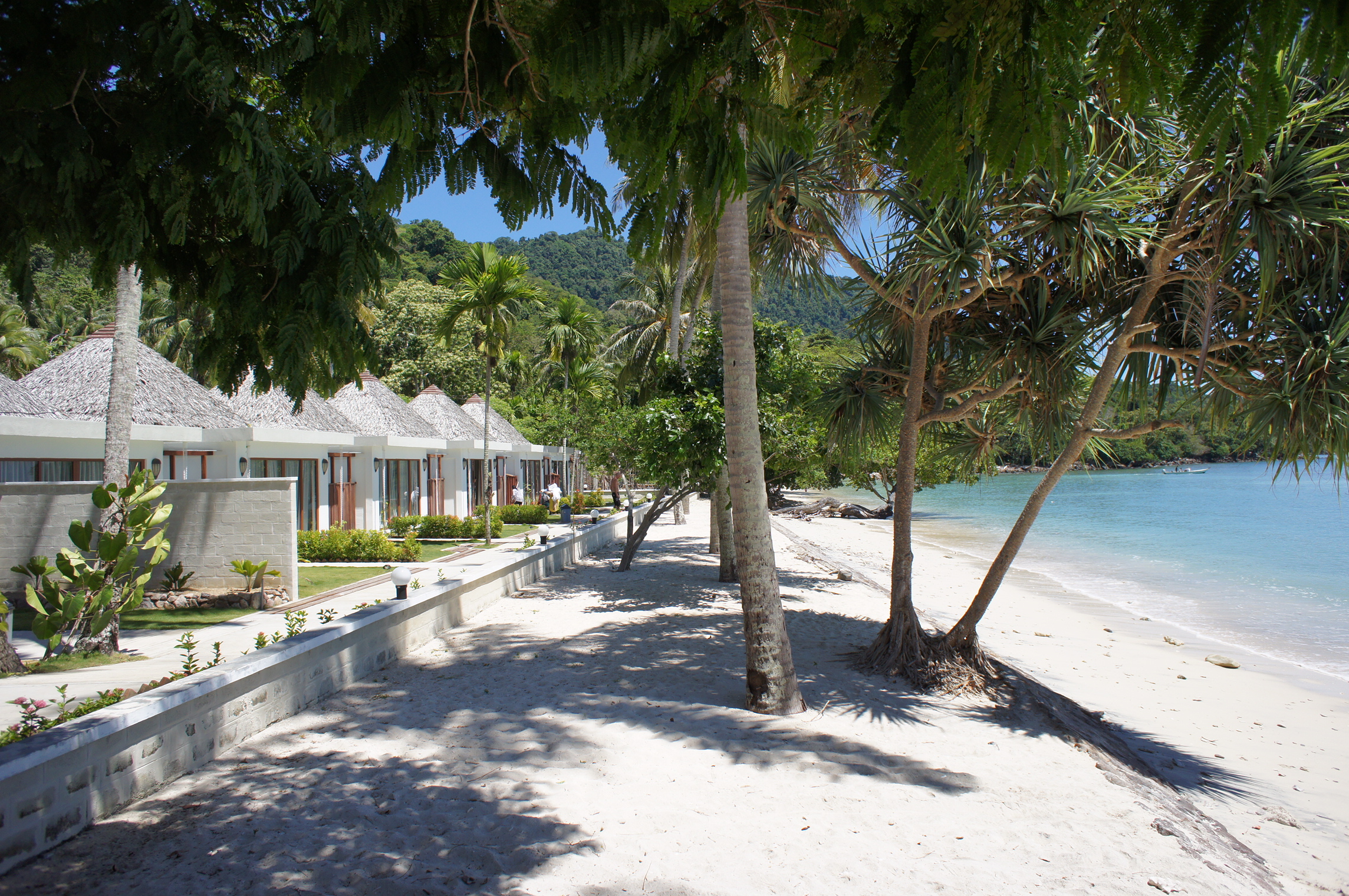 In-Person Therapy & Coaching