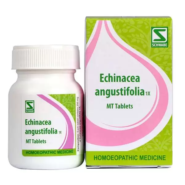Echinacea Angustifolia 1X MT Tablet