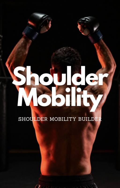 The Combat Matrix: MMA Mobility Program