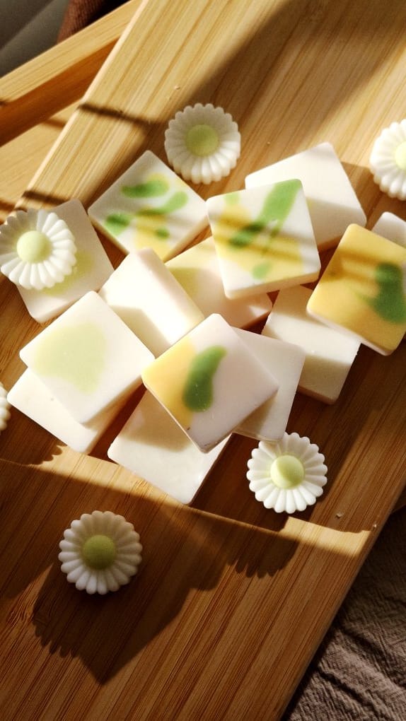 Wax Melts Meloa