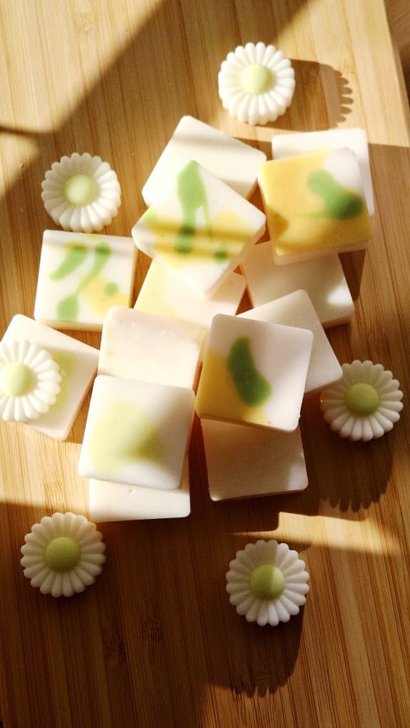 Wax Melts Meloa