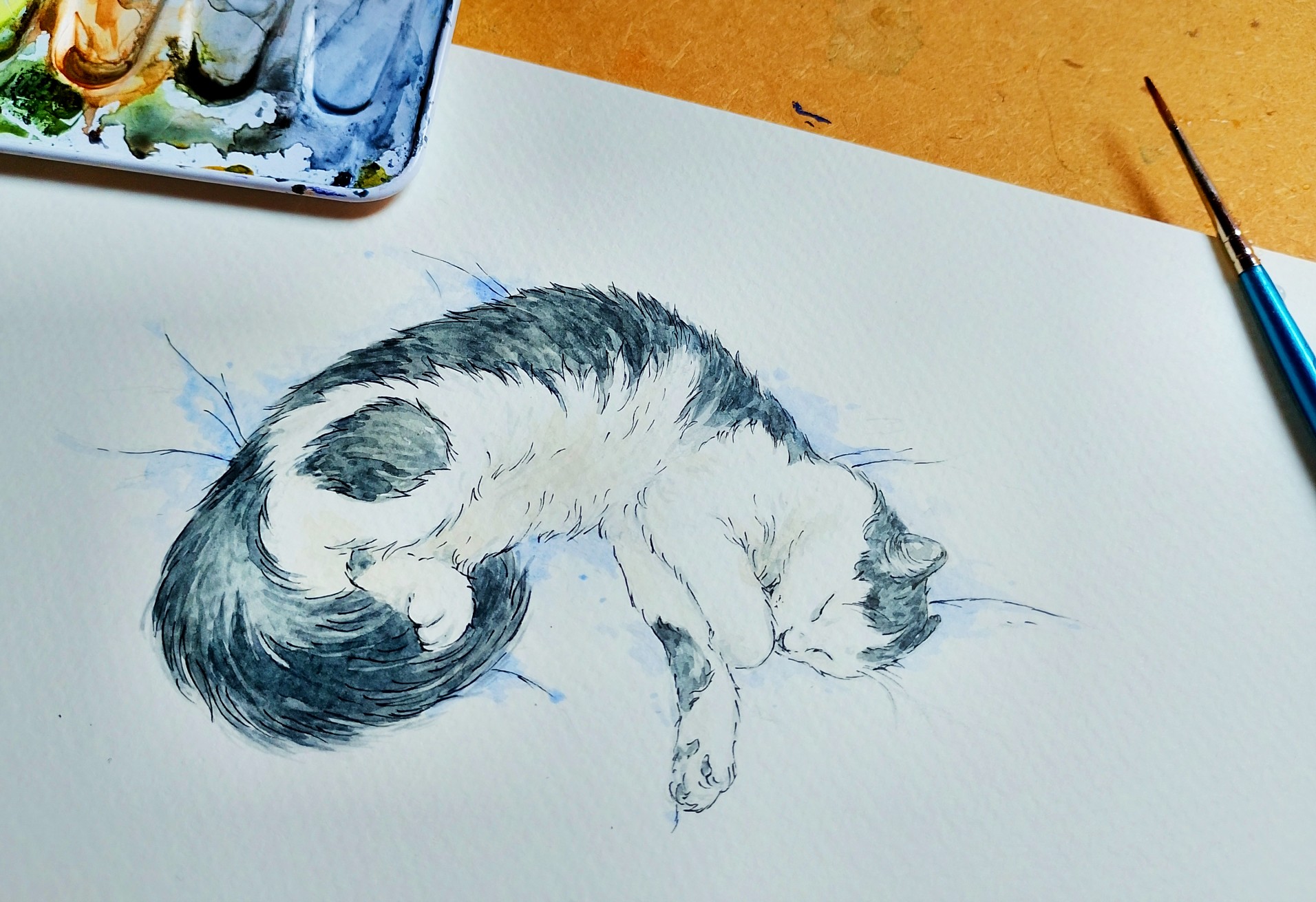 Portrait animalier sur commande : une attitude