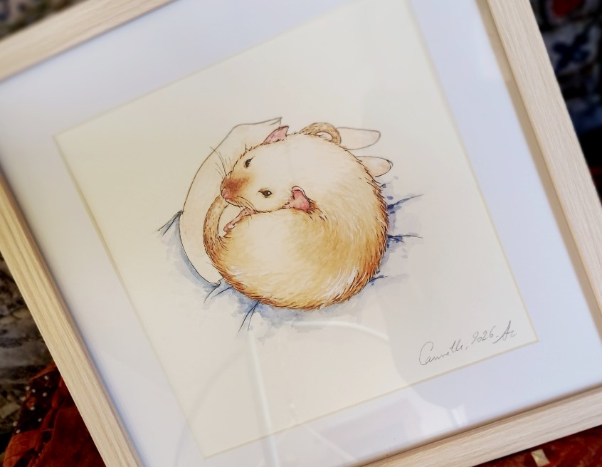 Portrait animalier sur commande : une attitude