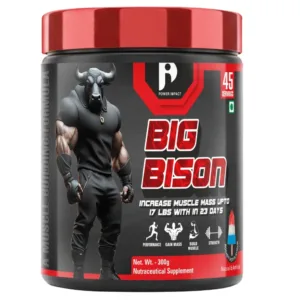 Big Bison