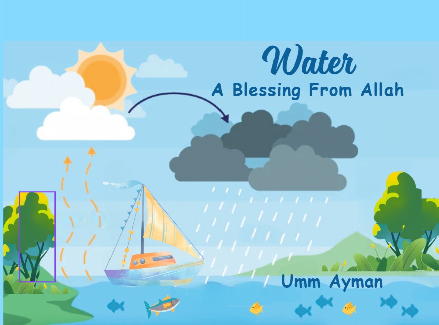 Water: A Blessing From Allah