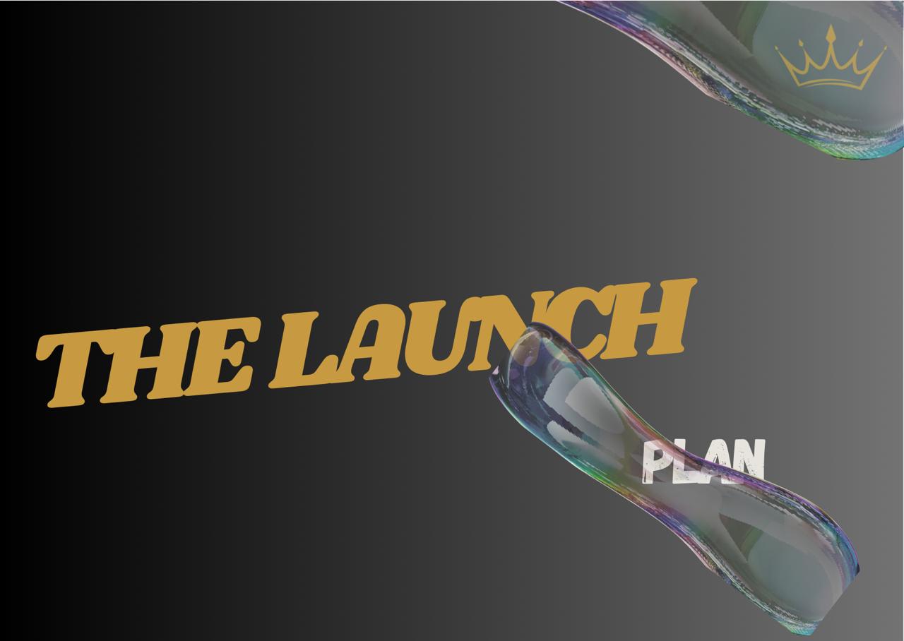 THE LAUNCH PLAN