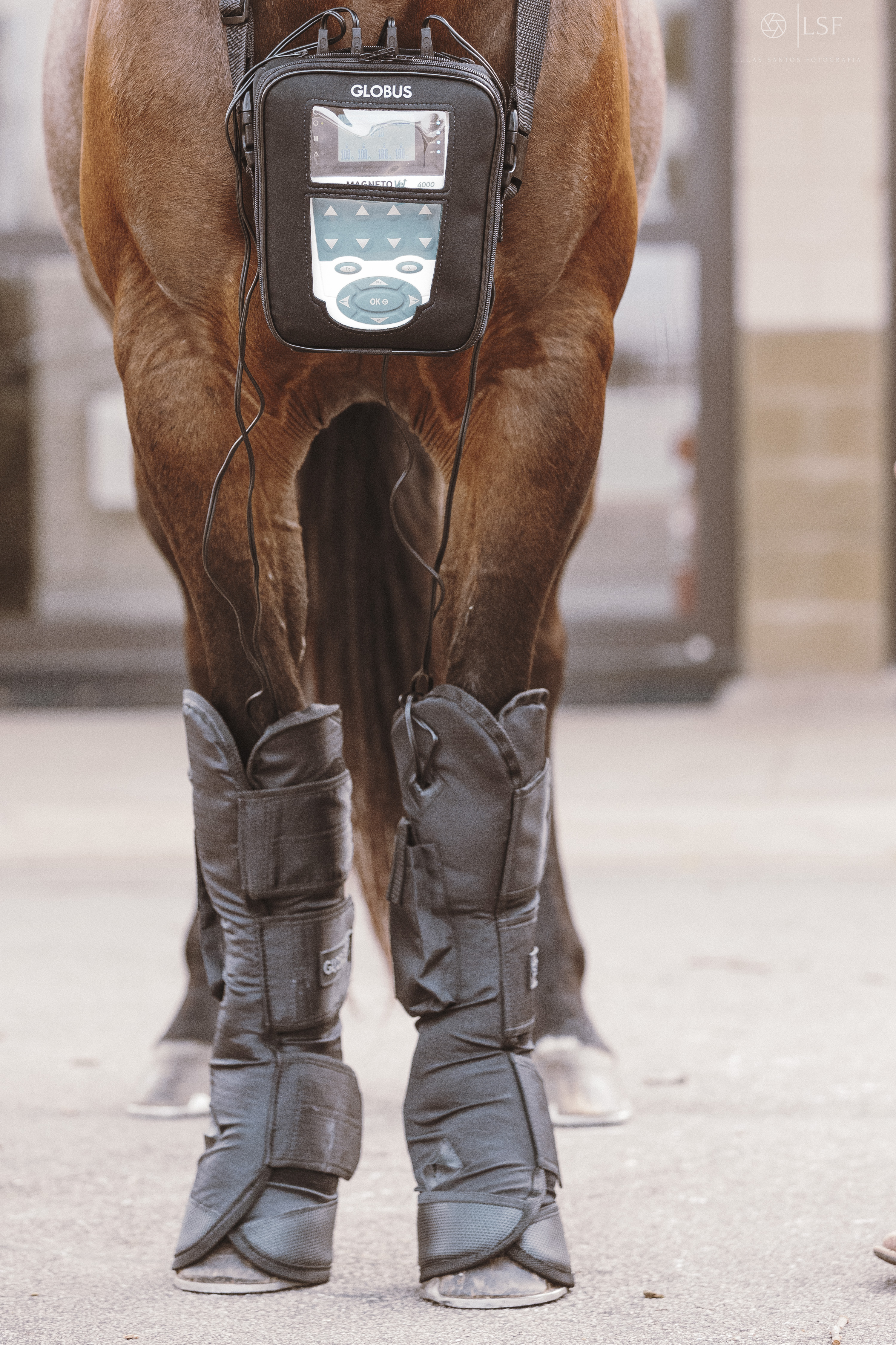 kit therapeutic front boots & magnetovet 4000 horse