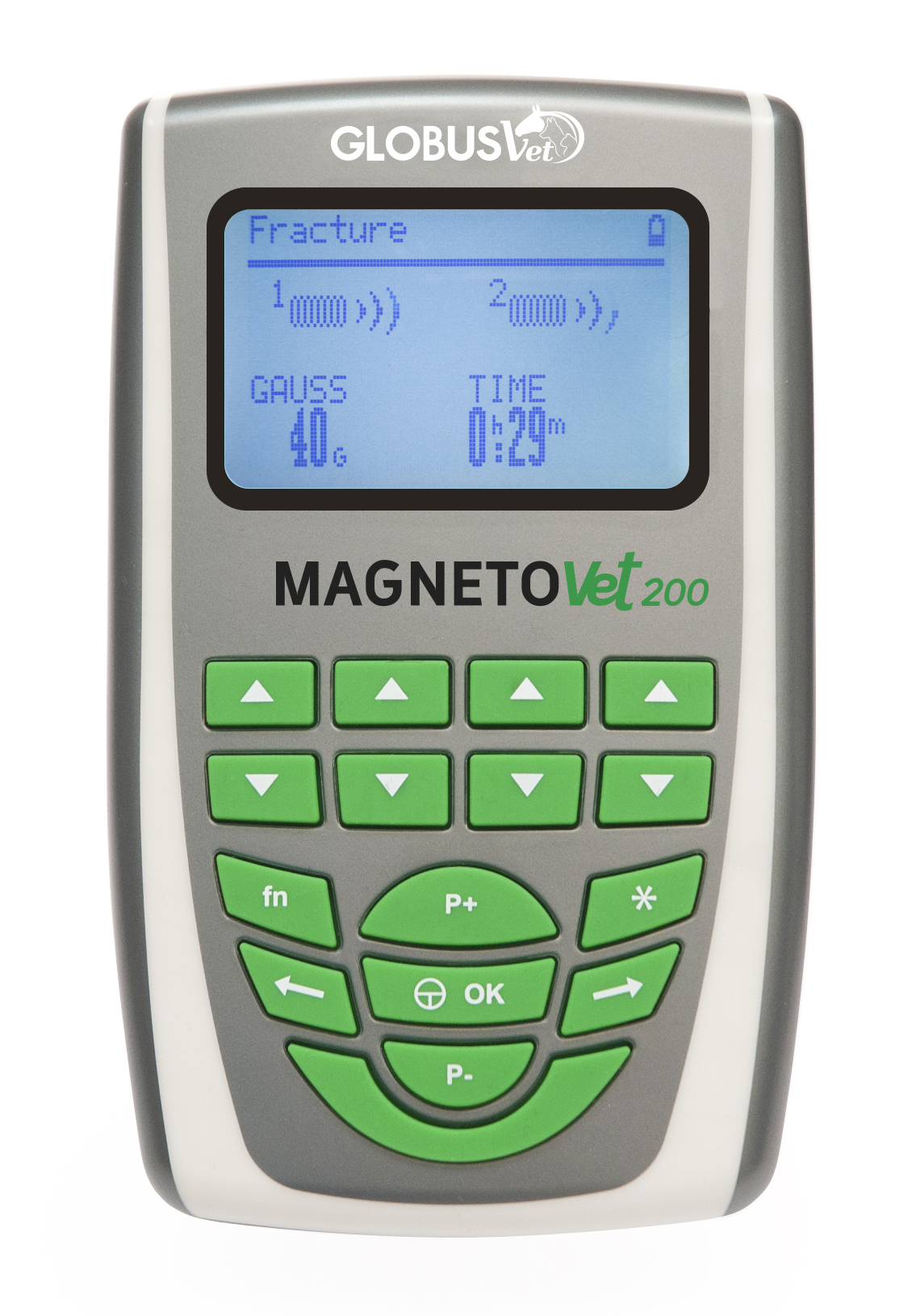 magnetovet 200 